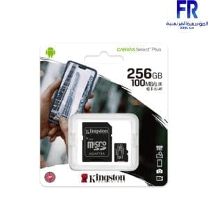 KINGSTON 256GB CLASS 10 100MBS MICRO SD Card