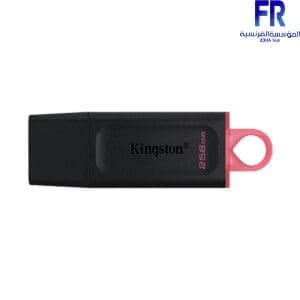 KINGSTON 256GB USB3.2 FLASH Drive